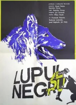 Рудольф Елинек и фильм Черный волк (1972)