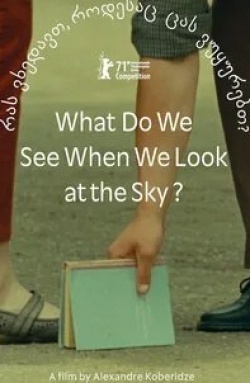 кадр из фильма Что мы видим, когда смотрим на небо?