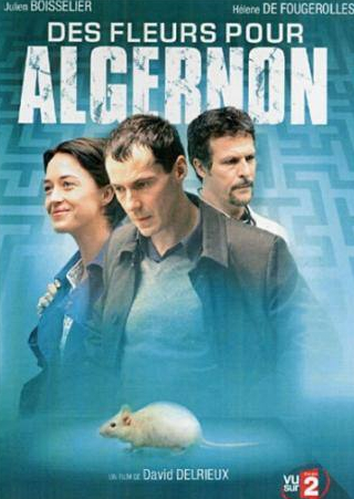 Фредерик ван ден Дрише и фильм Цветы для Алджернона (2006)