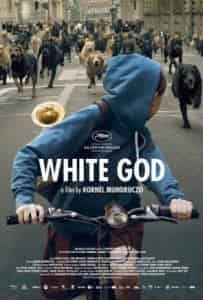 кадр из фильма Белый бог