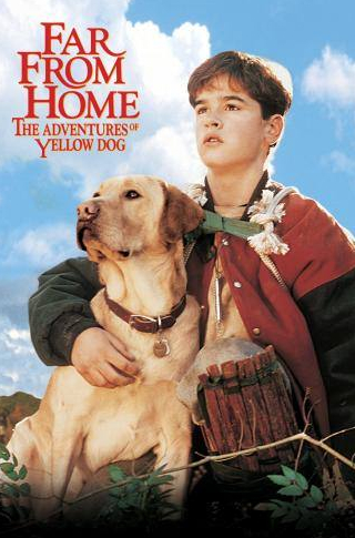 кадр из фильма Далеко от дома: Приключения желтого пса