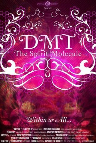ДМТ: Молекула духа
