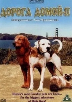 Тресс МакНилл и фильм Дорога домой 2: Затерянные в Сан-Франциско (1996)