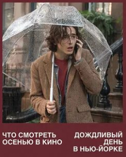 Тимоти Шаламе и фильм Дождливый день в Нью-Йорке (2019)