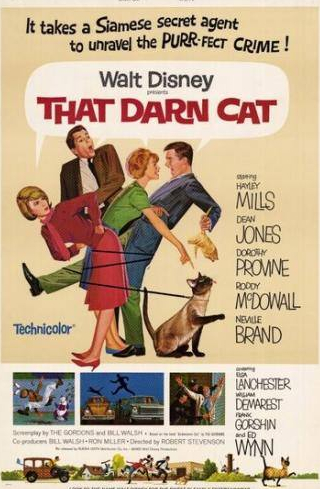 Невилл Брэнд и фильм Эта дикая кошка (1965)