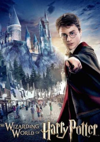 Майкл Гэмбон и фильм Гарри Поттер и запрещенное приключение (2010)