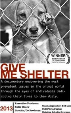 Роберт Дави и фильм Give Me Shelter (2014)