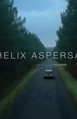 Helix Aspersa кадр из фильма