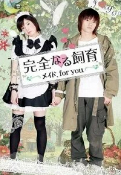 Наото Такэнака и фильм Идеальное образование: Горничная для тебя (2010)