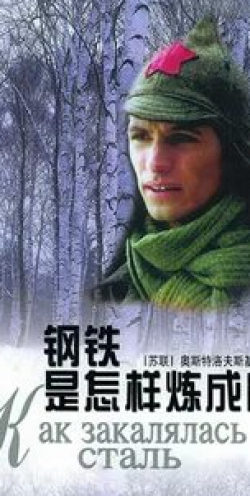Станислав Боклан и фильм Как закалялась сталь (1999)