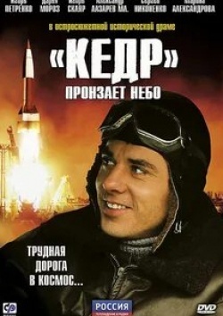 Николай Добрынин и фильм «Кедр» пронзает небо (2011)