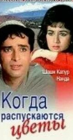 Шаши Капур и фильм Когда распускаются цветы (1965)
