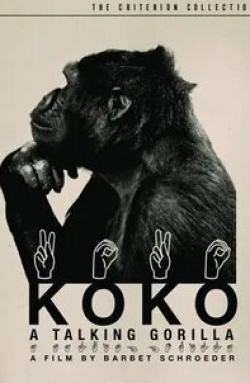 Коко и фильм Коко, говорящая горилла (1978)