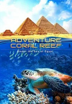 кадр из фильма Коралловый риф 3D: Подводный мир Египта