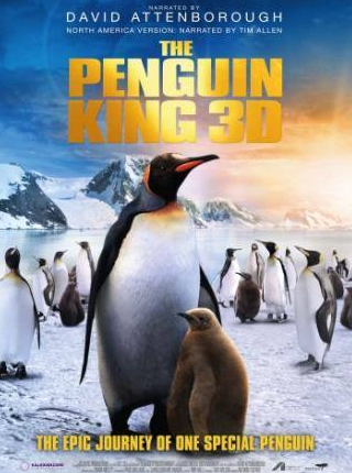 кадр из фильма Король пингвинов