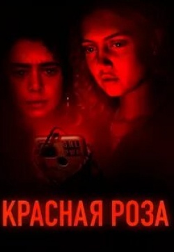 Сэмюэл Андерсон и фильм Красная роза (2022)