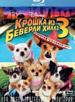 Себастьян Роше и фильм Крошка из Беверли-Хиллз 3 (2012)