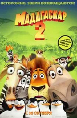 Дэвид Швиммер и фильм Мадагаскар 2 (2008)