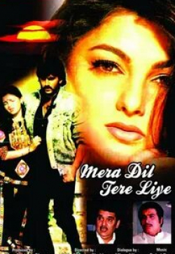 кадр из фильма Mera Dil Tere Liye