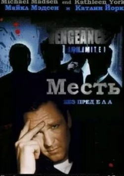 Майкл Мэдсен и фильм Месть без предела  (1998)