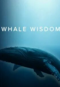 Мудрость китов кадр из фильма
