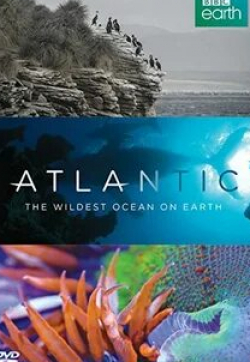 Киллиан Мерфи и фильм Непокорная Атлантика. Самый бурный океан Земли (2015)