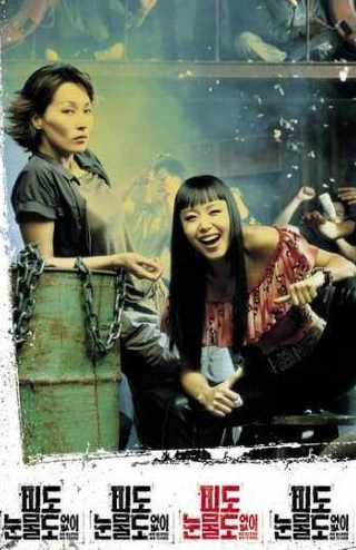 Чон Чжэ Ён и фильм Ни крови, ни слез (2002)