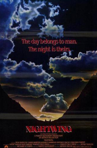 Дэвид Уорнер и фильм Ночное крыло (1979)