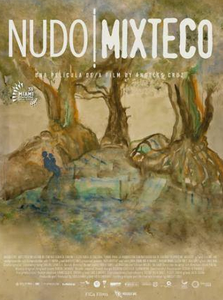 кадр из фильма Nudo mixteco