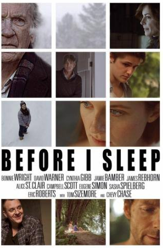 Синтия Гибб и фильм Перед сном (2013)
