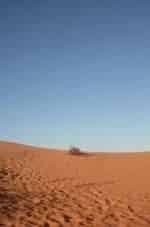 Тьерри Берро и фильм Планета песка Австралия: пустынный континент (2016)