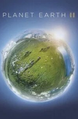 Планета Земля 2 кадр из фильма