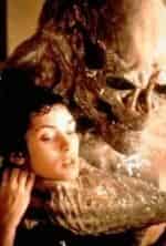 Кашмира Шах и фильм Под чужим именем (2007)