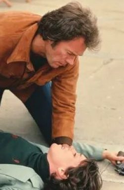 Брэдфорд Диллман и фильм Подкрепление (1976)