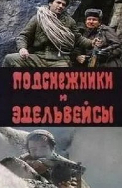 Александр Январев и фильм Подснежники и эдельвейсы (1982)