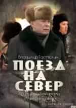 Софья Лебедева и фильм Поезд на север (2013)