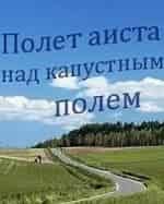 Сергей Бездушный и фильм Полет аиста над капустным полем (2004)