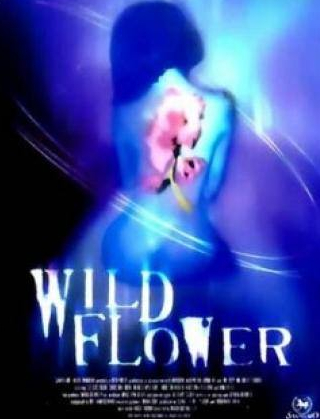 Ким Литтл и фильм Полевые цветы (2000)