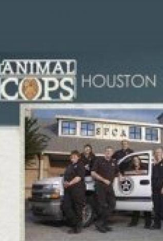 Джон Лури и фильм Полиция Хьюстона: Отдел по защите животных (2003)