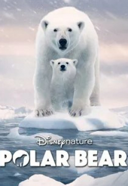 Кэтрин Кинер и фильм Полярный медведь (2022)