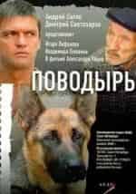 Владимир Головин и фильм Поводырь (2007)