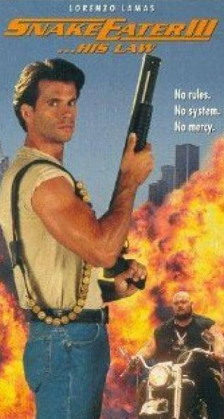 Трэйси Кук и фильм Пожиратель змей 3. Его закон (1992)