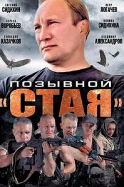 Сергей Воробьев и фильм Позывной «Стая» (2013)