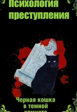 Артем Федотов и фильм Психология преступления. Черная кошка в темной комнате (2021)