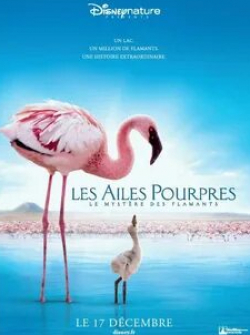 Каролина Херфурт и фильм Пурпурные крылья: Тайна фламинго (2008)