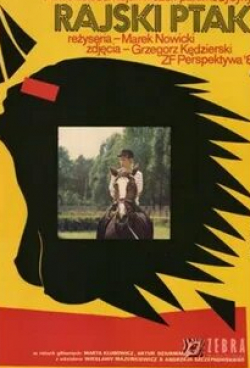 Веслава Мазуркевич и фильм Райская птица (1988)