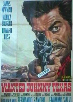 Нерио Бернарди и фильм Разыскивается Джонни Техасец (1967)