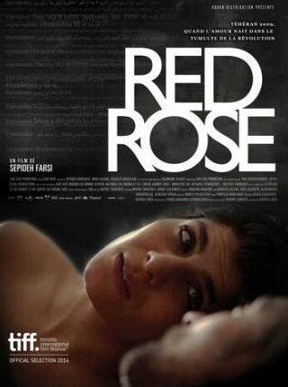 кадр из фильма Red Rose