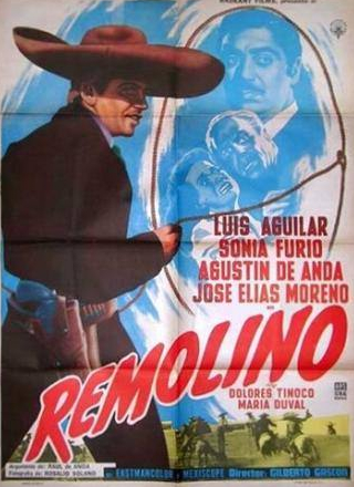 кадр из фильма Remolino