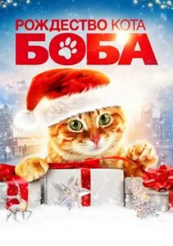 Тим Плестер и фильм Рождество кота Боба (2020)